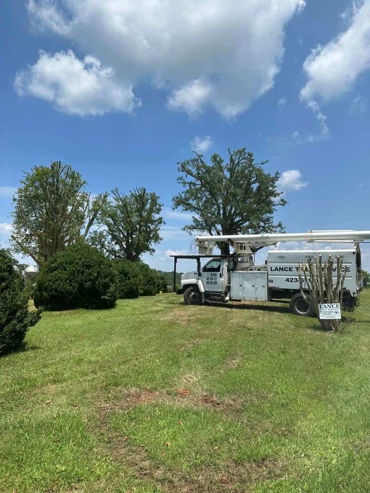 Tree Removal for Lance Tree Service in Tellico Plains ,  TN