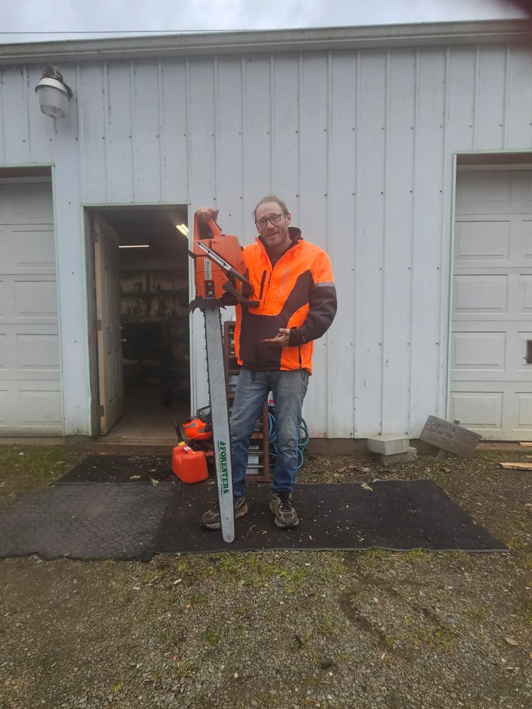 Tree Removal for Trio Tree Services in Ocean Park, WA