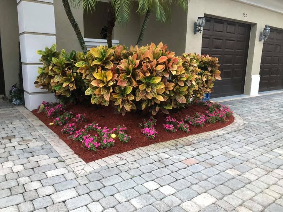 VS Landscaping Services inc. team in Fort Lauderdale, FL - people or person