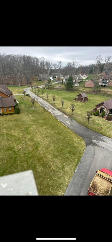 All Photos for NRV Tree Pro, LLC in Narrows, VA