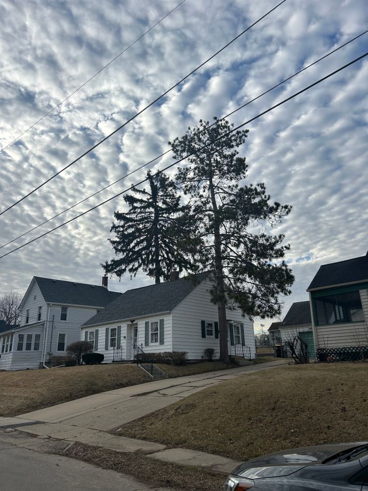 All Photos for Fransen's Tree Service  in Freeport, IL