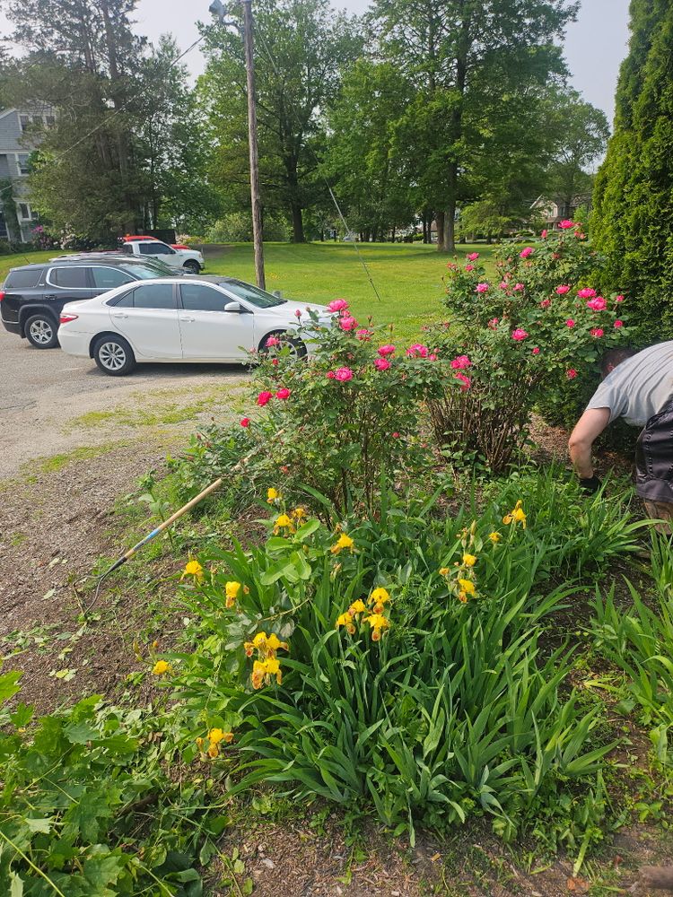 All Photos for Landscape Innovations LLC in Torrington, CT