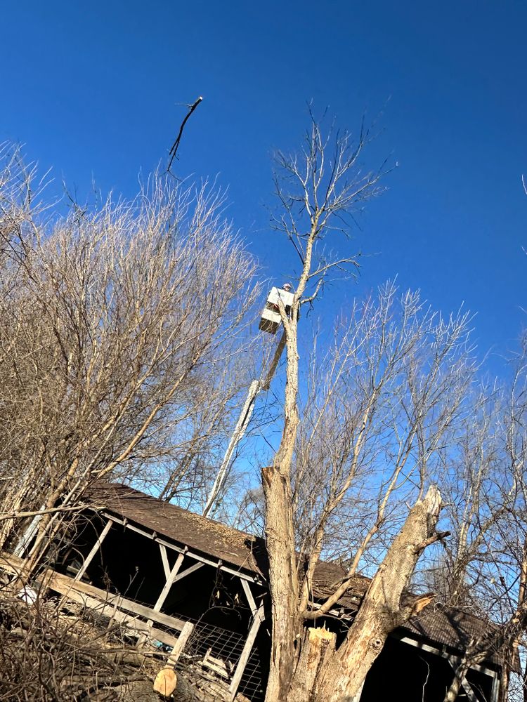 All Photos for Cross Family Tree Service in Kearney, MO