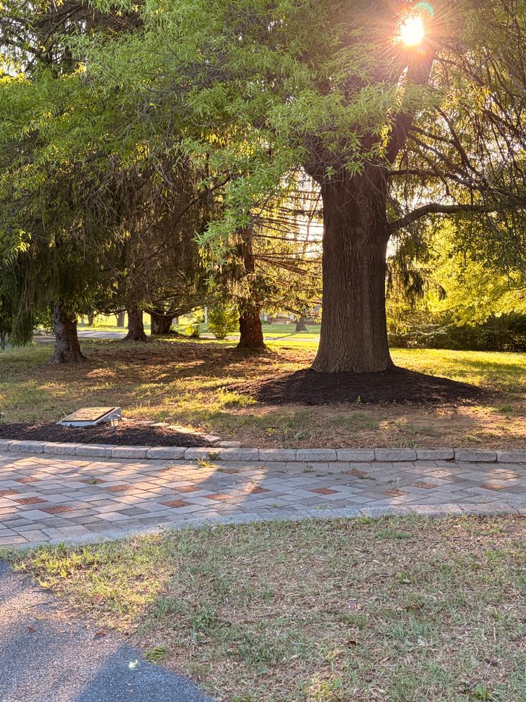 All Photos for Valencia’s Lawncare in Charlottesville, VA