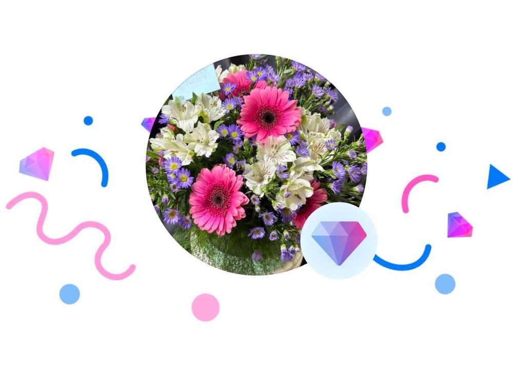 All Photos for The Dailey Daisy in Hardwick, VT