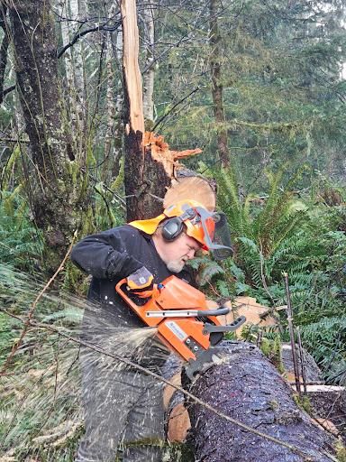 All Photos for Trio Tree Services in Ocean Park, WA