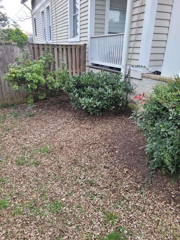 Our Shrub Trimming service involves expertly shaping and pruning your shrubs to enhance the overall appearance of your landscape, promoting healthy growth and maintaining a tidy, well-maintained yard. for Woody's Tree and Landscaping in Fredericksburg, VA