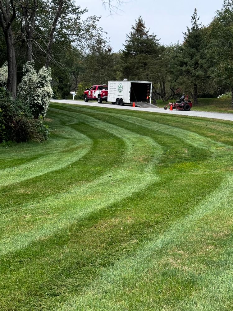 Mosquito/tick control for Perillo Property maintenance in Hopewell Junction, NY