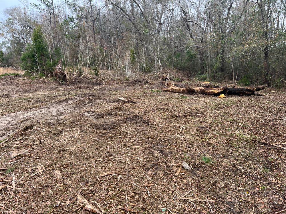 Hauling for Between The Hedges Landscape & Trucking LLC in Altha, FL