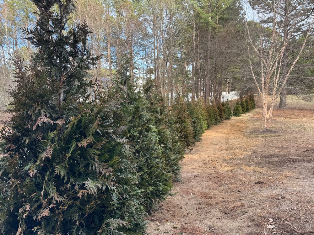 All Photos for Green Works Landscaping in Clayton, NC