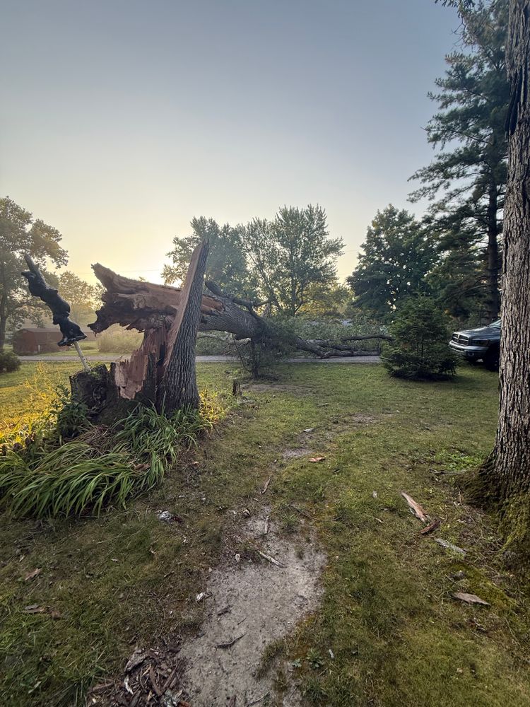 All Photos for Hunnicutt’s Tree Service L.L.C. in Monticello, IN