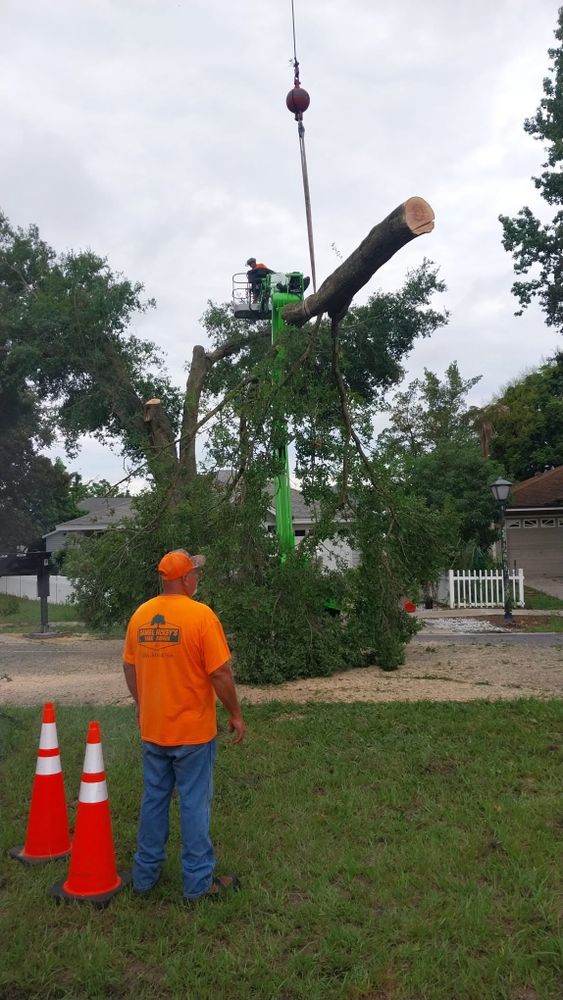 All Photos for Daniel Hickey’s Tree Service in DeLand, FL