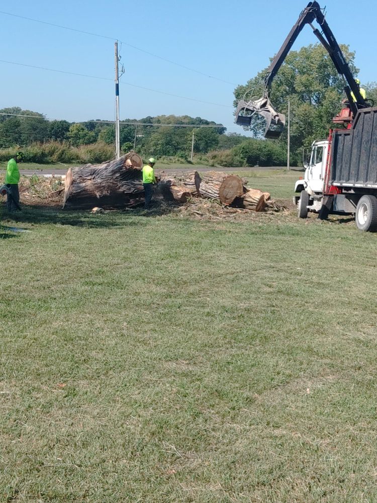 All Photos for Mitchell Tree Company in Lathrop, MO
