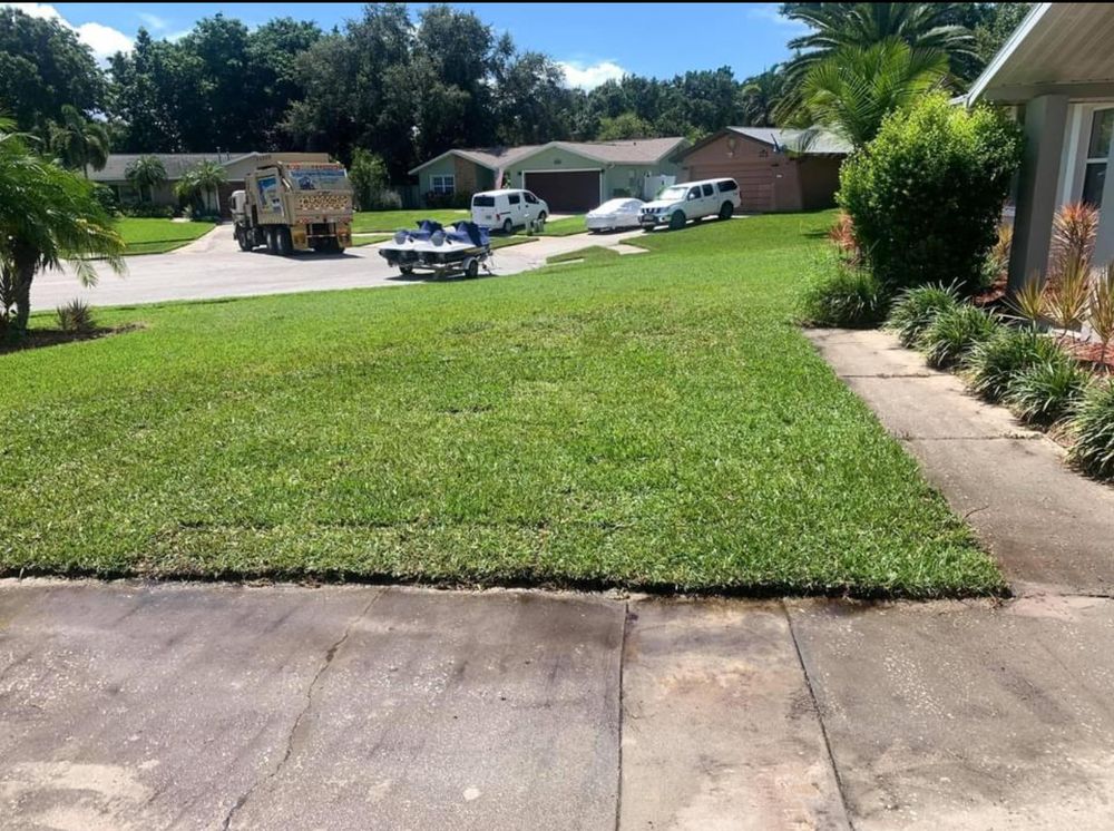All Photos for Oceanfront Landscape in St. Petersburg, FL