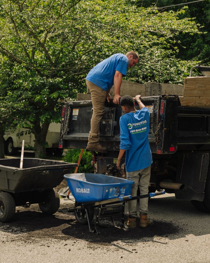 All Photos for Pungitore Landscapes, Irrigation & Fertilizer in Hingham, MA