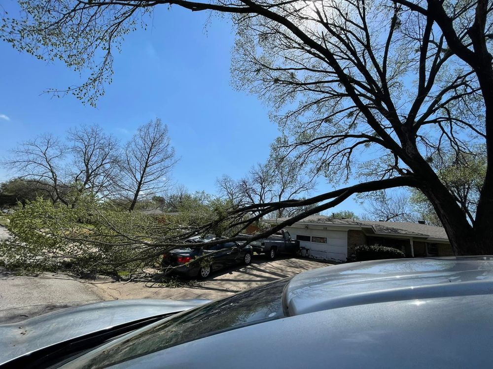 Tree Service for The S&L Good Fellas LLC in Irving, TX