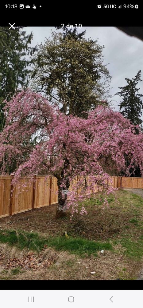 Fences for Custom Gates Welding, LLC. in Auburn, WA