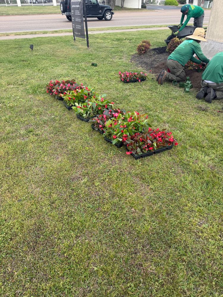 All Photos for Kingdom Landscaping in Memphis, TN