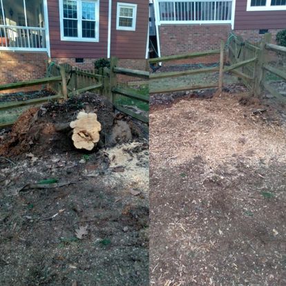 All Photos for Morgan's Stump Removal in Rock HIll, SC