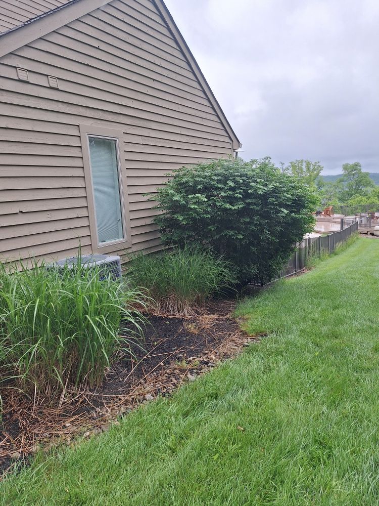All Photos for Cincinnati’s Finest Landscape Services LLC in Cincinnati, OH