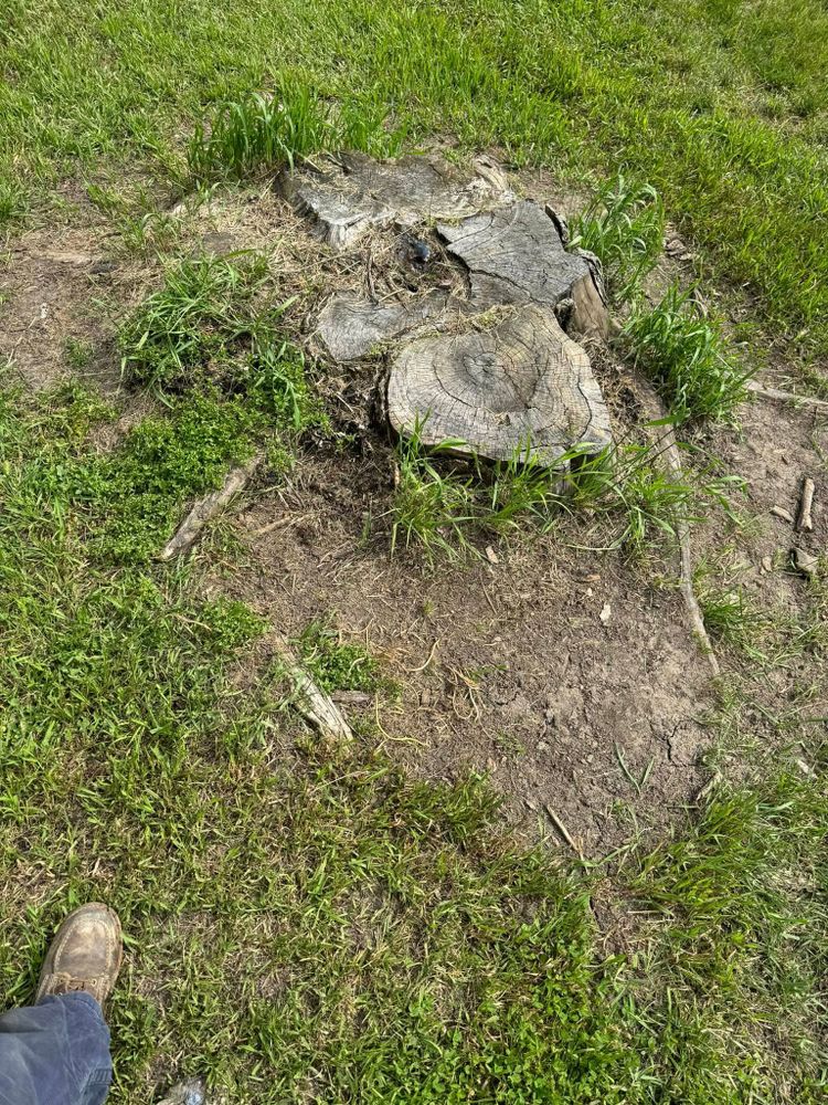 Land Clearing for RTK Co. Land Management in Raymond, MN