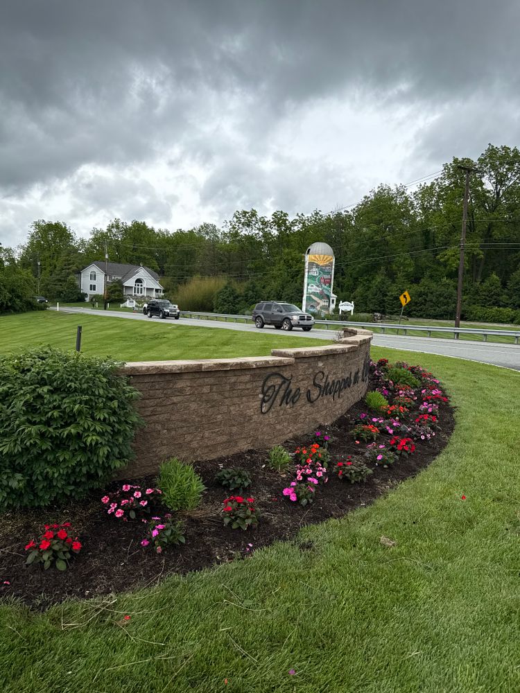 All Photos for DiSessa Landscape & Construction in Wantage, NJ
