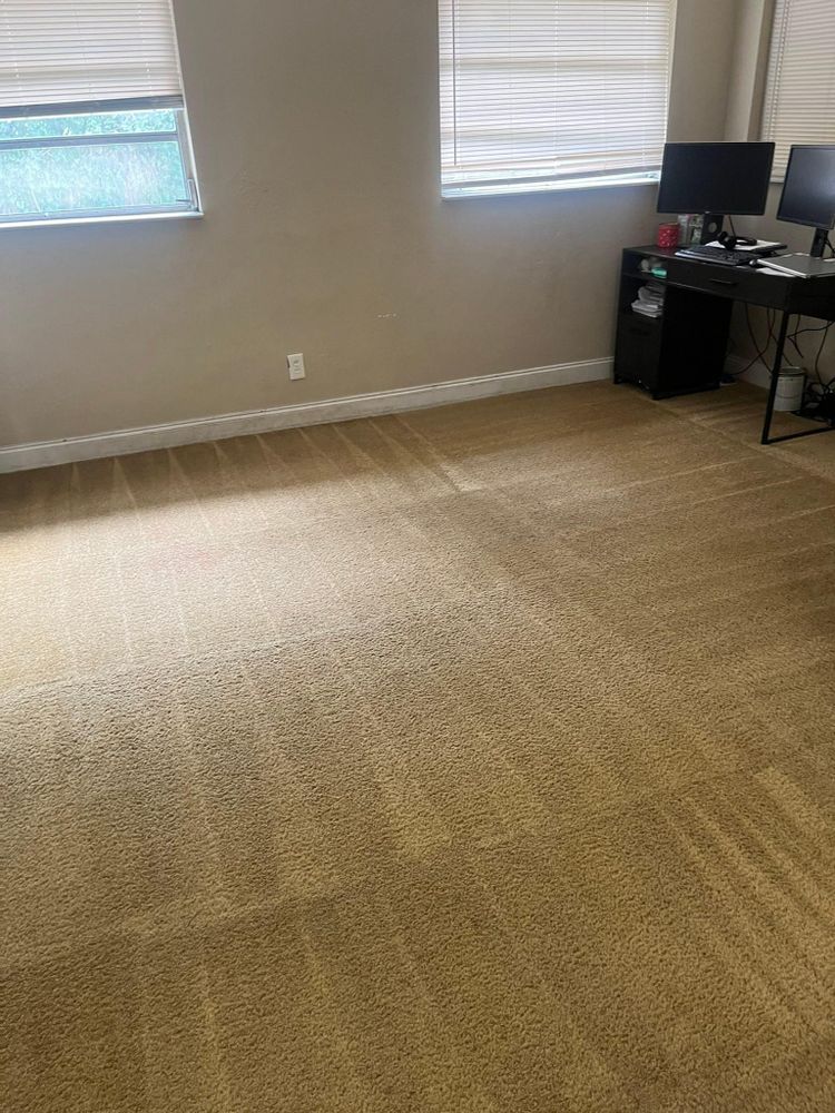All Photos for Stain X Carpet Cleaning in Jacksonville, FL