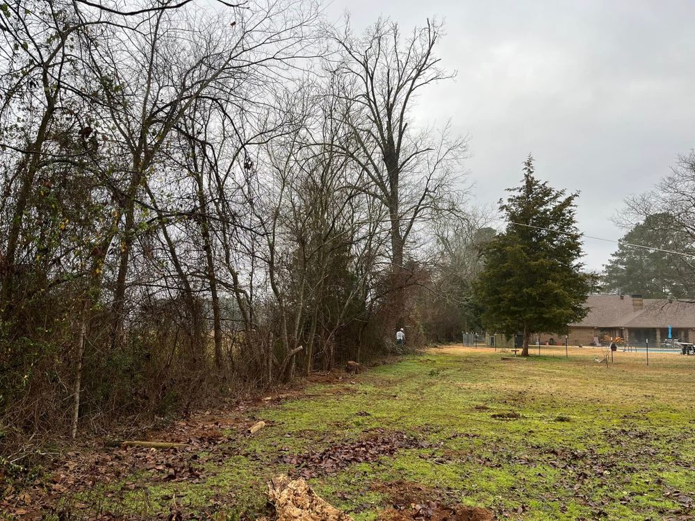 All Photos for JC Land and Tree Service in Kilgore, TX