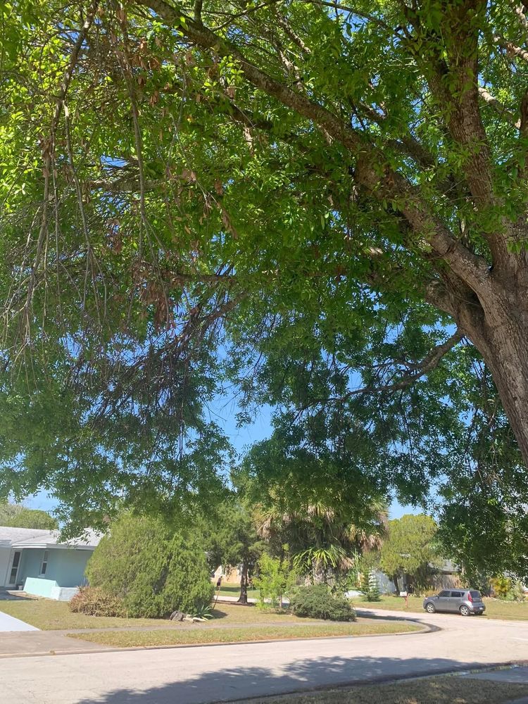 All Photos for Space Coast Property Maintenance and Management LLC in Melbourne, FL