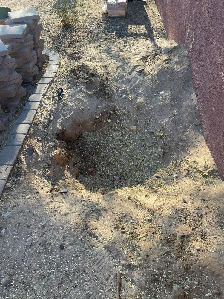 All Photos for Oliver L. Palm & Tree services in Yuma County, AZ