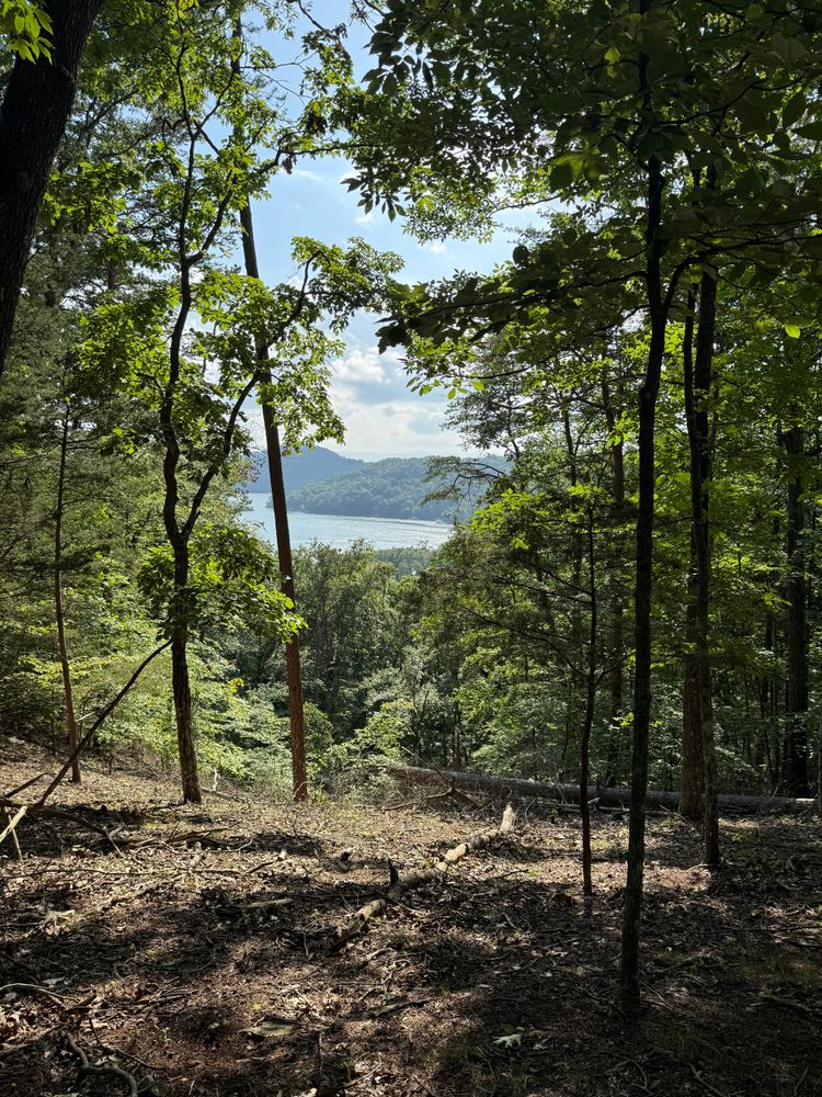 All Photos for KTN Excavation in Clinton, TN