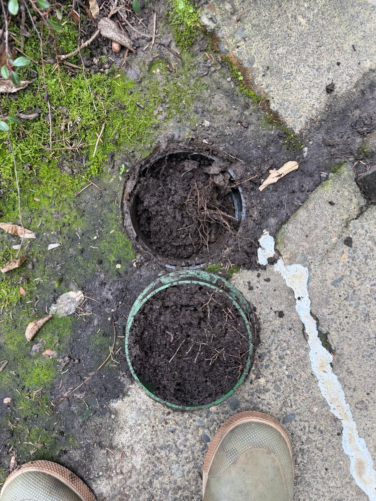 All Photos for Mountain View Services in Sandy, OR