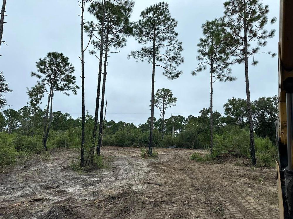 All Photos for White’s Land Maintenance in Milton,, FL