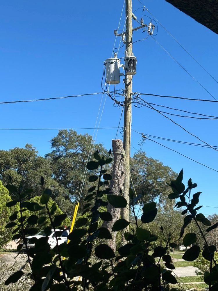 Tree Services for Grind Time Tree Service in Daytona, FL