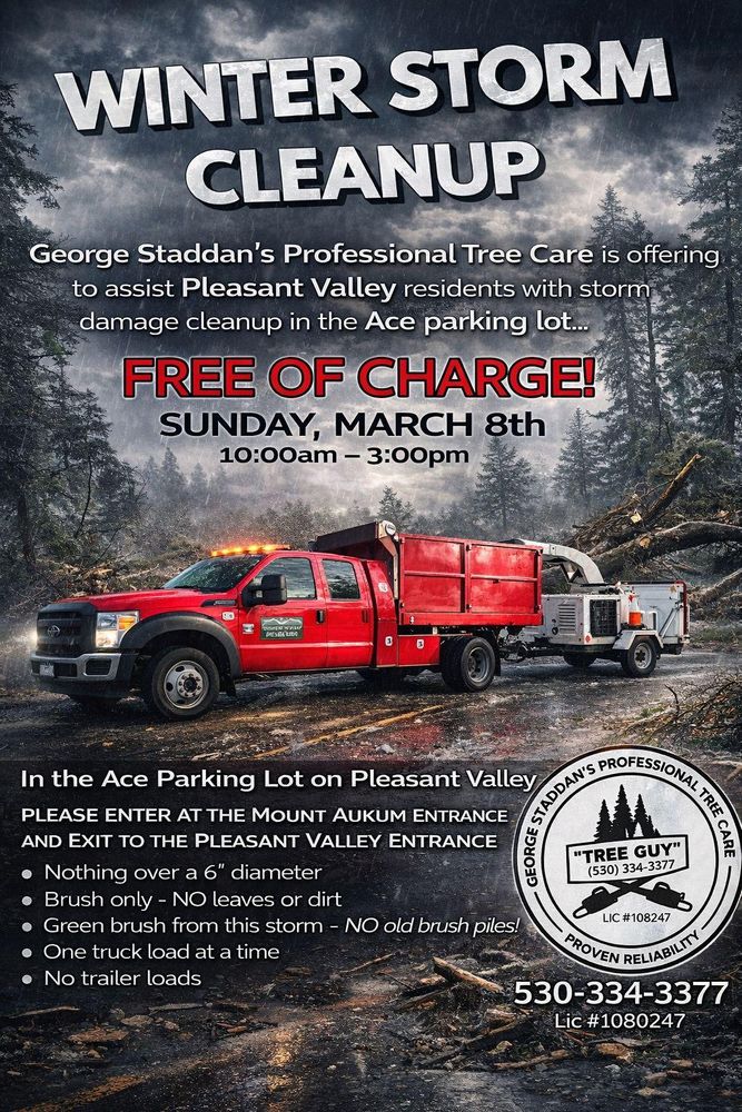 All Photos for George Staddan's Professional Tree Care in Placerville, CA