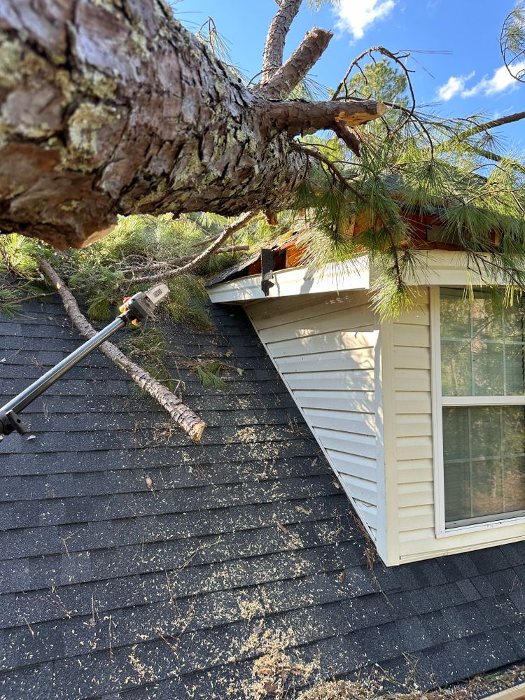 All Photos for ArborMax in Thomaston, GA