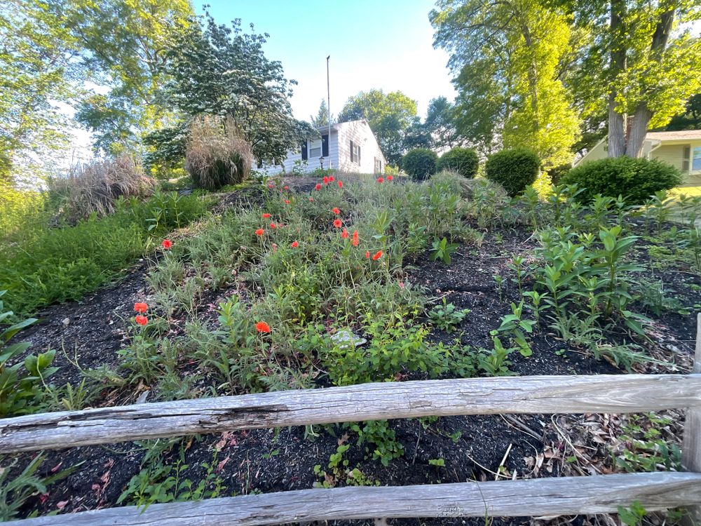 Before & After for Ardisi Landscaping & Design in Poughkeepsie, NY 