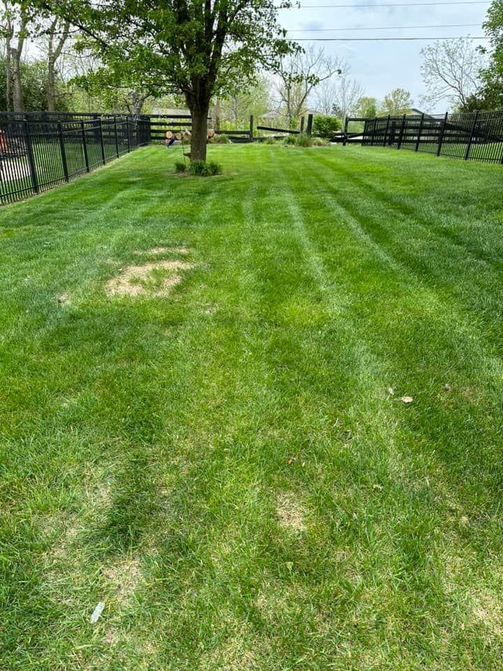 Fall and Spring Clean Up for KK&G Lawncare Services LLC in  Frankfort, KY