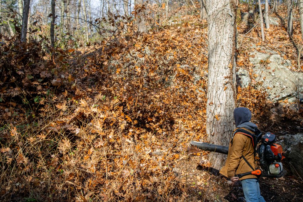 Fall Cleanup for CS Property Maintenance in Middlebury, CT