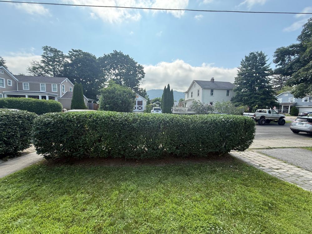 All Photos for Ardisi Property Maintenance LLC in Poughkeepsie, NY 