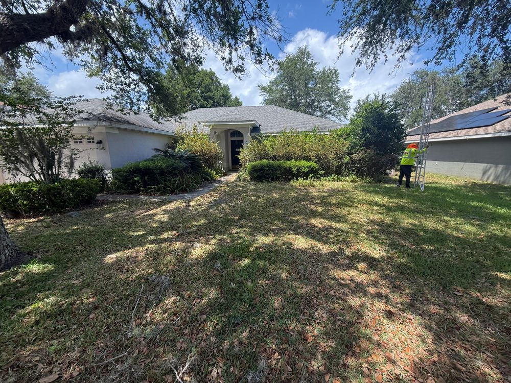 All Photos for Amerigrown Tree And Lawn in Apopka, FL