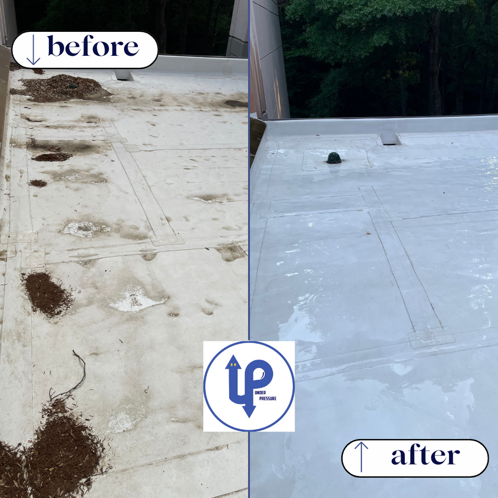 All Photos for Under Pressure: Pressure Washing Service in Raleigh, NC