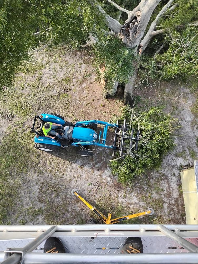 Our Land Clearing service efficiently removes unwanted trees and vegetation, ensuring a clean slate for your projects. We also offer precise shrub trimming to enhance the beauty and health of your landscape. for Highlands Tree Service LLC in Avon Park, FL
