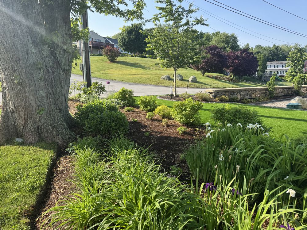 All Photos for M.J. Construction & Landscape INC in Bristol, RI