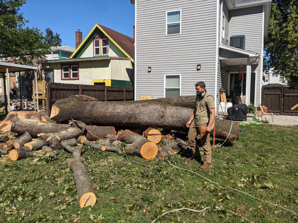 All Photos for Houtz Tree Service in Lexington, KY