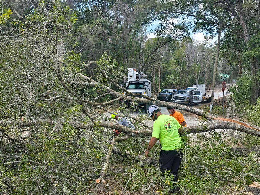 All Photos for All Around Guys Tree Service in Ocala, FL