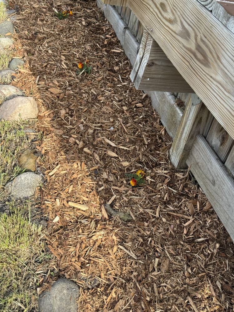 All Photos for Daugherty's Tough Lawn Care in Essexville, MI