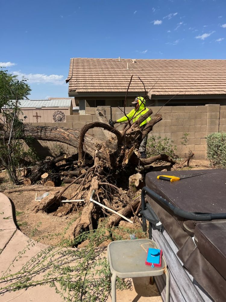 All Photos for T's Tree Service and Firewood in Apache Junction, AZ