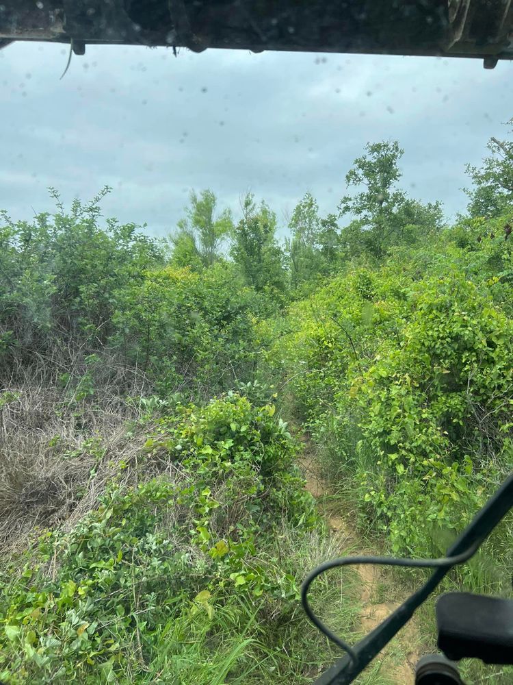 Land Clearing for D&D Custom Services in Jacksboro,  TX