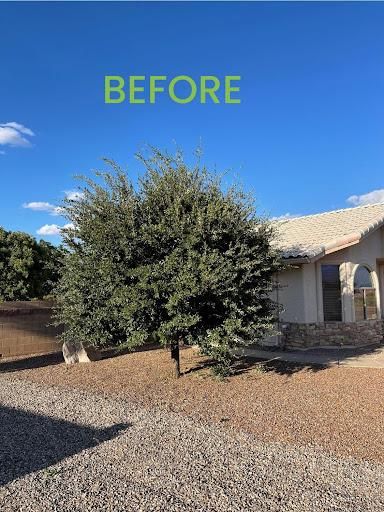 All Photos for A to Z Grounds Keeping in Sierra Vista, AZ